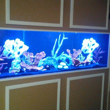 125 Gal in Theater Room