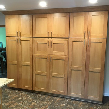 Transitional Kitchen Remodel