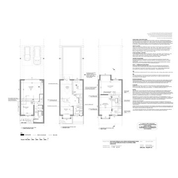 Proposed Elevations & Section