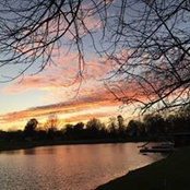 Robin Drew's photo