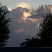 Karl Curry's photo