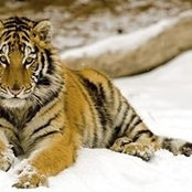 Glennda Swanson's photo