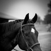 Ann Marie O'Brien's photo