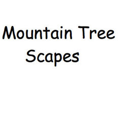 Mountain Tree Scapes