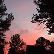 Becky Cribbs's photo