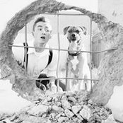 Duncan Alexander's photo
