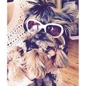 Misty Spencer's photo