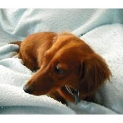 Debbie Holmberg's photo