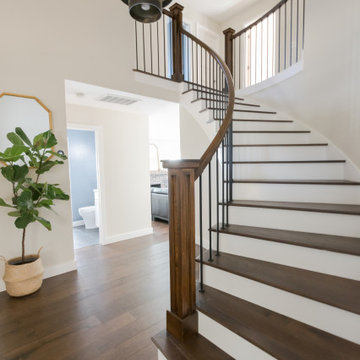 Energetic & Timeless Design: A Whole Home Upgrade