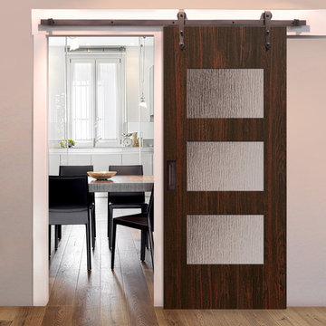 Sliding Barn Doors-Birch Santa Monica Contemporary Door • 6´8˝ Tall