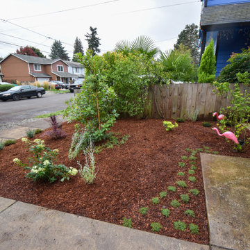 Dry Creek Bed