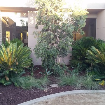 Moskowitz Residence