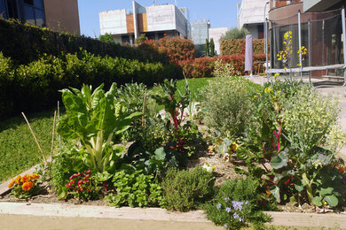 Ejemplo de jardín contemporáneo de tamaño medio en primavera con huerto