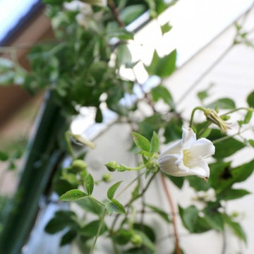 Studio_Suginami_Garden