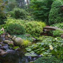 Pond