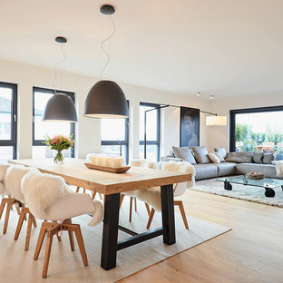 フランクフルトのコンテンポラリースタイルのLDKの画像 (白い壁、淡色無垢フローリング)