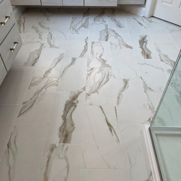 Master Bathroom Remodel