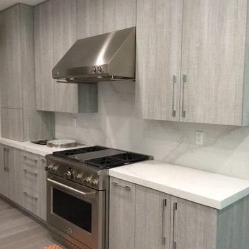 Hancock Park kitchen