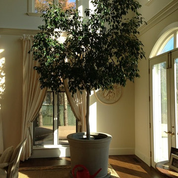 Hamptons Tropical Interiorscape