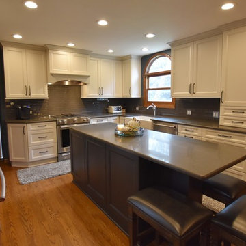 Transitional White Kitchen with Glass Highlight in Naperville