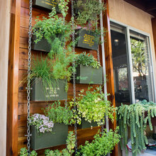 Garden And Outdoors
