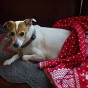 Mary Sirak-Gisondi's photo