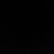 Peg Caruso's photo