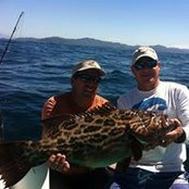 David Sturgill's photo