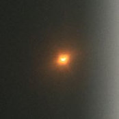 Rosemary Steele's photo