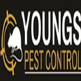 Youngs Pest Control's profile photo
