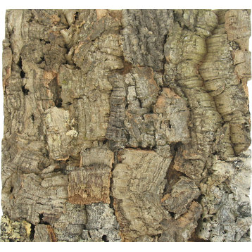 Jelinek Cork Wall Tiles, Set of 2, Natural Cork Top