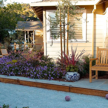 Marin Front Yard Bocce and Edible Garden