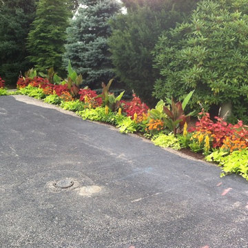 seasonal color
