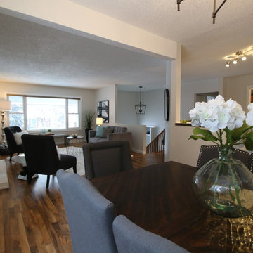 Canyon Meadows Bi-Level