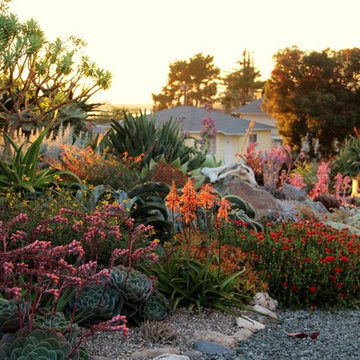 Gardens by Gabriel Demonstration Garden