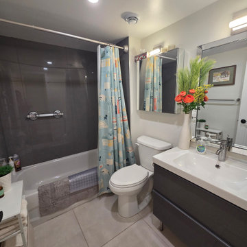 Accessible Bathroom Renovation for Aging in Place