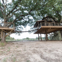 Tree House