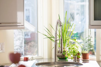Example of a danish kitchen design in Boston