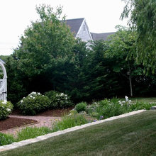 Patio Ideas