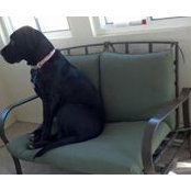 Jake Gephart's photo