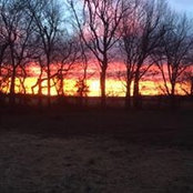 Tracy Chamberlin's photo