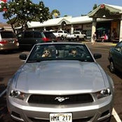 Thomas Gregory's photo