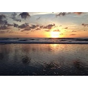 Heather Cottrell's photo