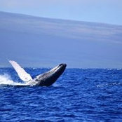 Mabel Conley Liley's photo