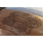 Lori Martin's photo