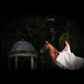 Michelle Stubbs's photo