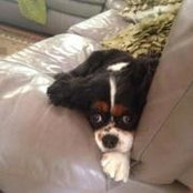 Gail Vaughn's photo