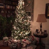 Susan Lake's photo