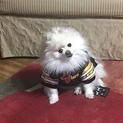 Jason Cushing's photo