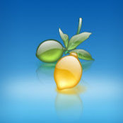 Bernat Rodriguez's photo